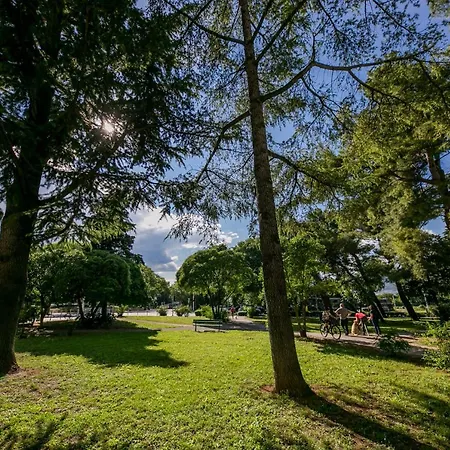 Appartement Palomia C