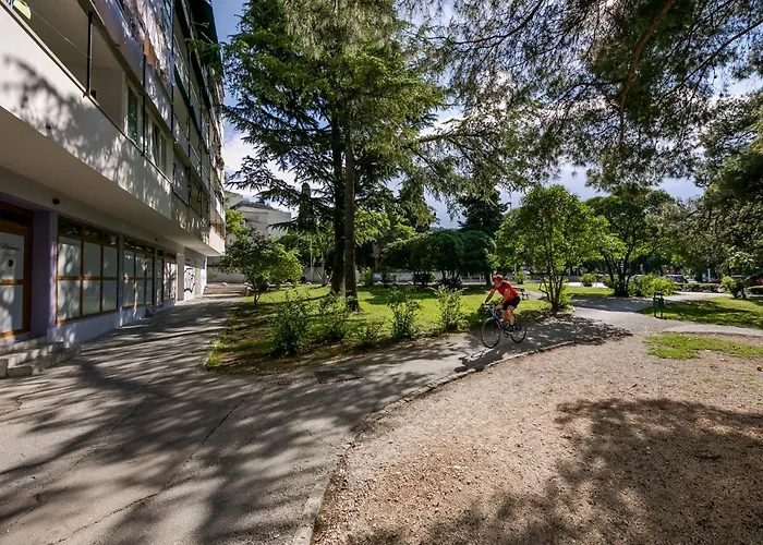 Apartamento Palomia C